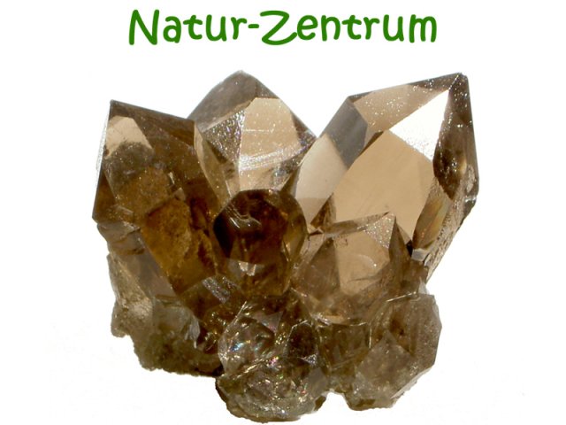 Natur-Zentrum