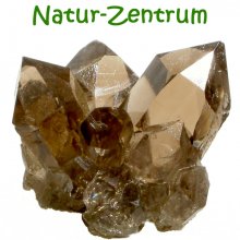 Natur-Zentrum